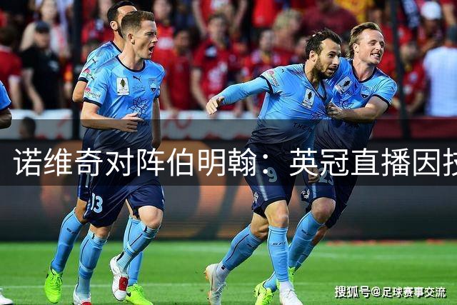 诺维奇对阵伯明翰：英冠直播因技术故障暂不可用